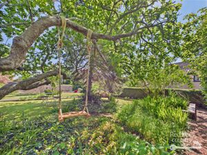 Front Garden- click for photo gallery